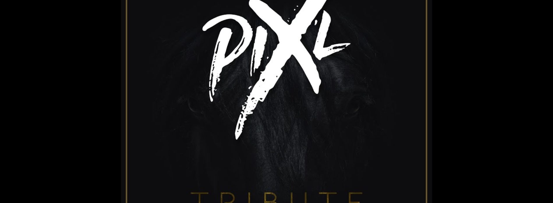 Pix’L – Tribute – Mai 2020