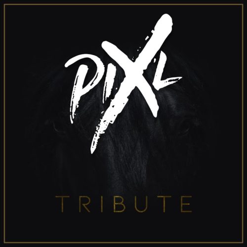 Pix’L – Tribute – Mai 2020