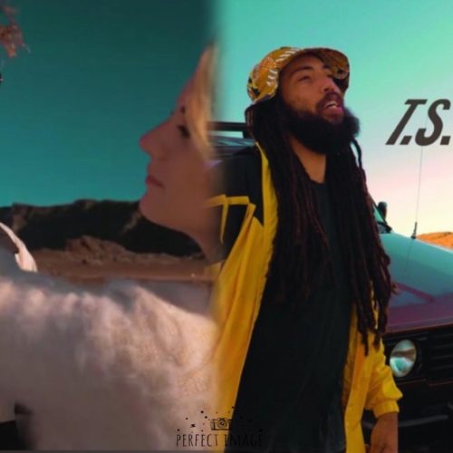 Pix’L – TSODAM (Clip officiel) – Août 2020 par SSkyron – Août 2020