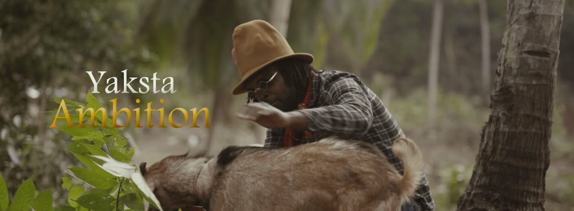 Yaksta (Bush Lawd) – Ambition (Official Video) – Mars 2021