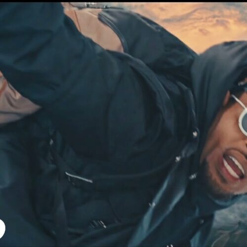 Chris Brown – Go Crazy (Remix) (Official Video) ft. Young Thug, Future, Lil Durk, Mulatto – Avril 2021