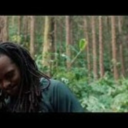 Di Panda – Question bête réponse idiote #MrPolyvalence – Mai 2021