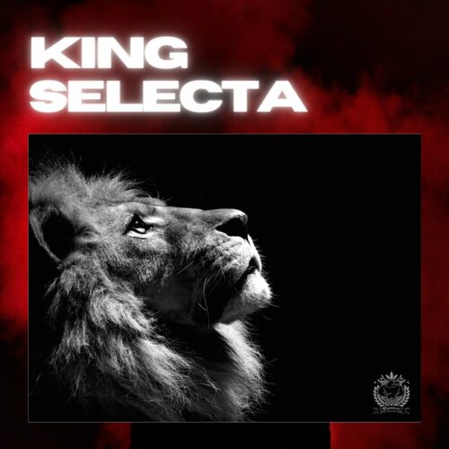 CLK MUSIC PLAYLIST : Kings Sélecta