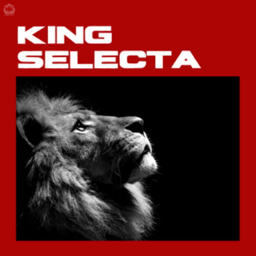 CLK MUSIC PLAYLIST : Kings Sélecta