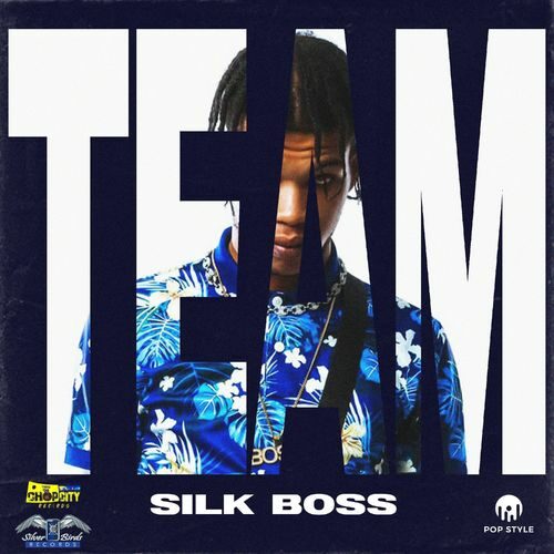 Silk Boss – Team (Official Video) – Janvier 2022🔥🇯🇲🔥🇬🇾🔥