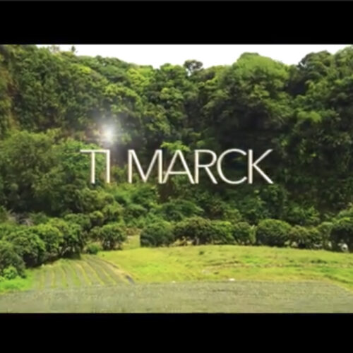 Ti Marck – « Mon bizness » – Fevrier 2022
