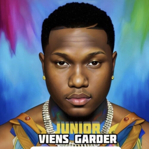 JUNIOR – VIENS GARDER (Audio officiel) – Décembre 2022