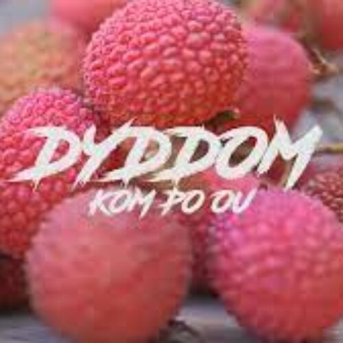 Dyddom – « Kom po ou » (clip officiel) – Décembre 2022
