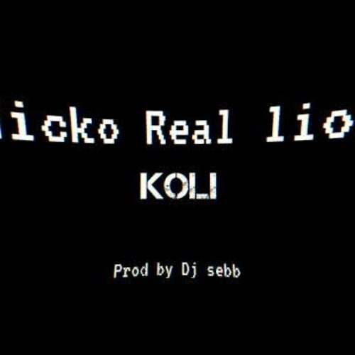Nicko Real lion – » KOLI  » – Août 2023