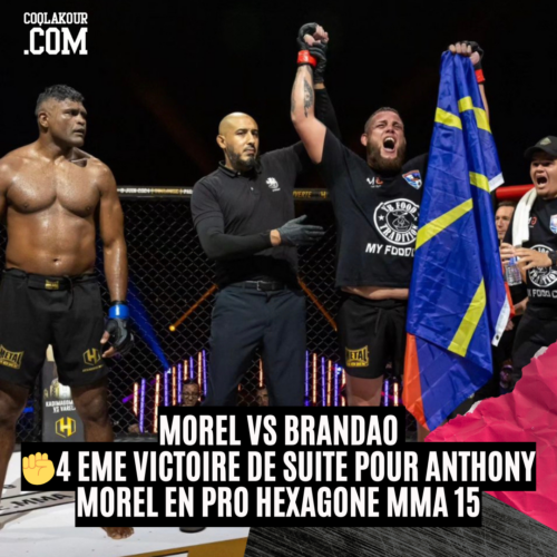 Et de 4 ! Et oui voici la 4 ème Victoire du Coq @anthonybigmorel au @hexagonemmafr MMA 15 contre le brésilien Brandao 