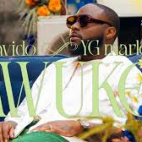 Davido, YG Marley – Awuke (Official Video)